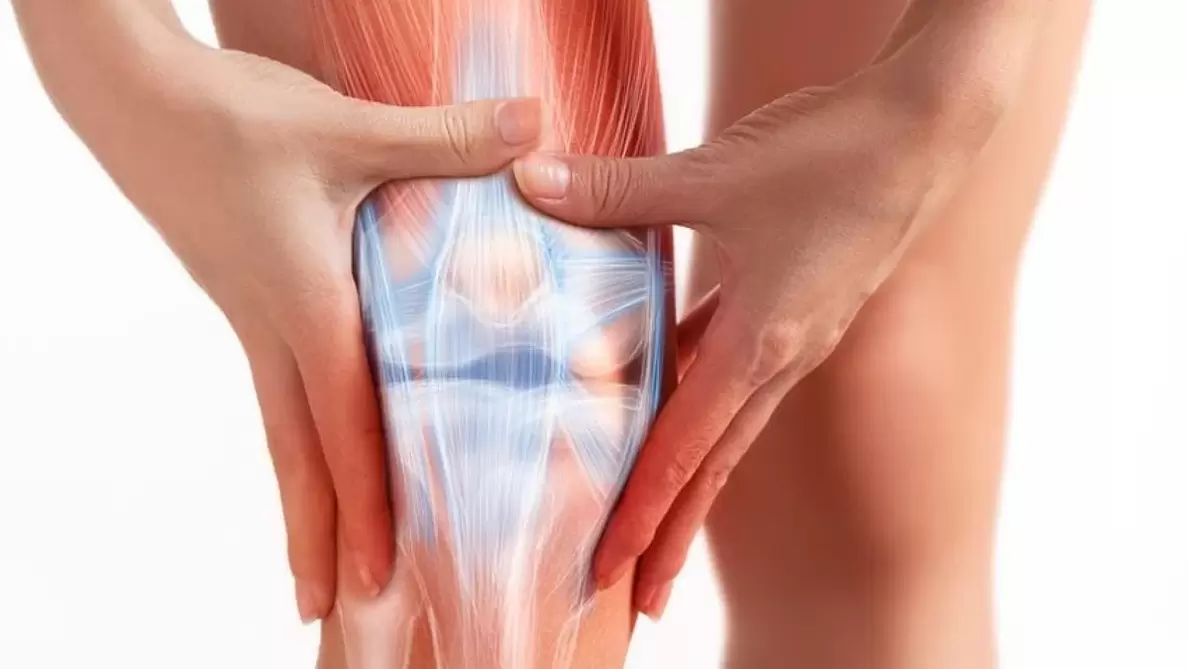 Osteflex Gel wird dreimal täglich auf den betroffenen Gelenkbereich aufgetragen.